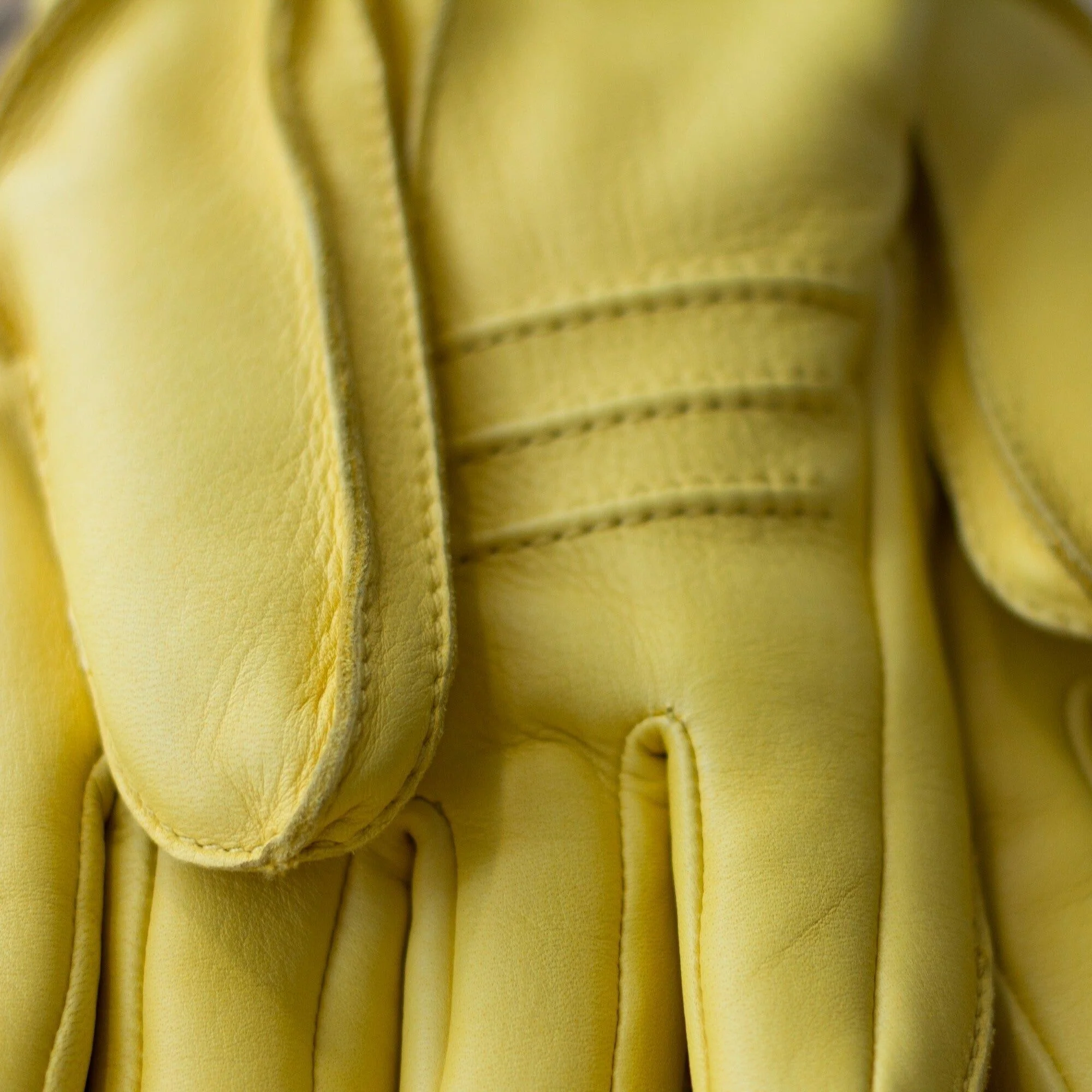 Gloves Deerskin Primaloft - YELLOW - Image 9
